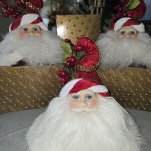 Santa Claus Holiday Decor